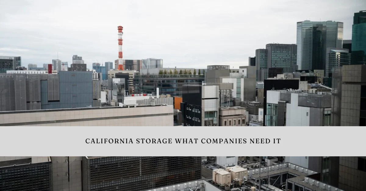 california storage what companies need it