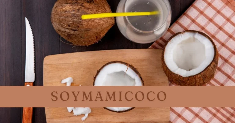 what is soymamicoco