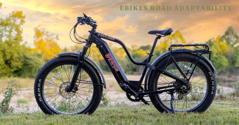 Ebikes Road Adaptability