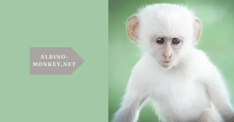 Albino-Monkey.net